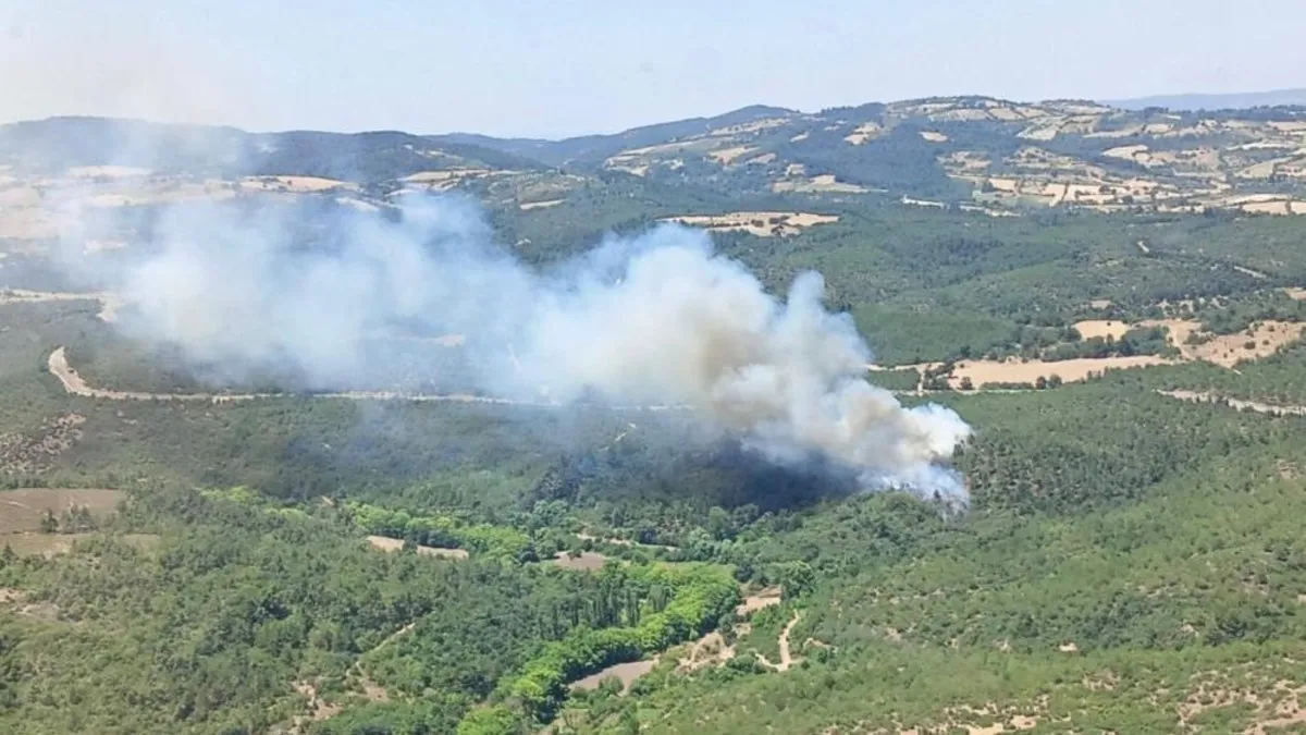 Balıkesir'de ormanlık alanda yangın çıktı