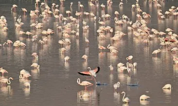 Kartpostal değil gerçek! Bakanları hayran bırakan doğa harikası böyle fotoğraflandı