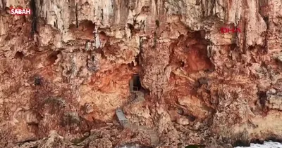 Falezlerdeki kaçak baraka ve asansörü mühürlendi | Video