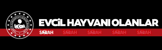 SON DAKİKA: İçişleri Bakanlığı bu hafta devam edecek yasakları açıkladı! İşte bu hafta uygulanacak yasaklar listesi