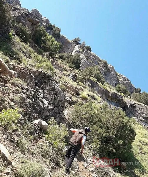 Van'ın ardından Bitlis'te de koyunlar telef oldu!
