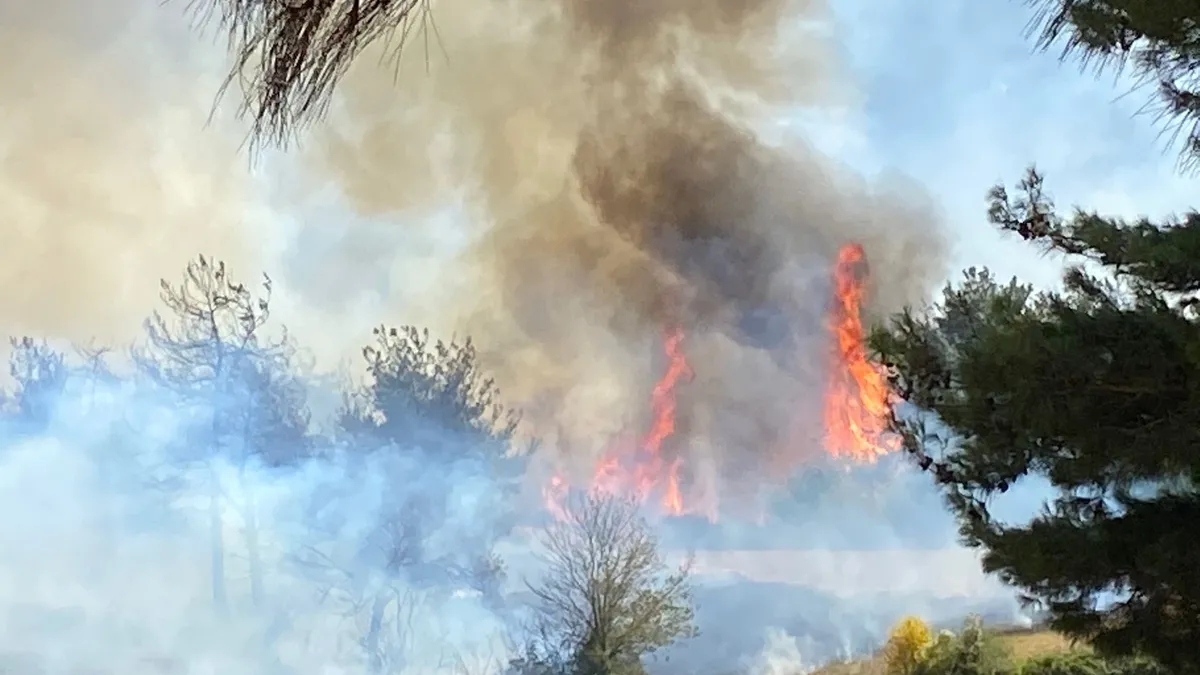 Osmaniye’de korku dolu anlar: Orman işçileri alevlerin arasında kaldı! Osmaniye’de korku dolu anlar: Orman işçileri alevlerin arasında kaldı!