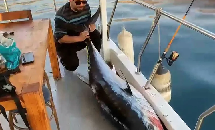 Antalya'da oltaya gelen balığı görünce gözlerine inanamadılar! Tekneyi tam bir 1 saat sürükledi