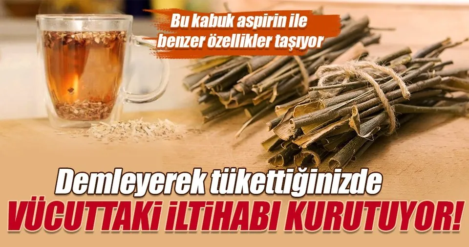 bu besin vucuttaki tum iltihabi kurutuyor saglik haberleri