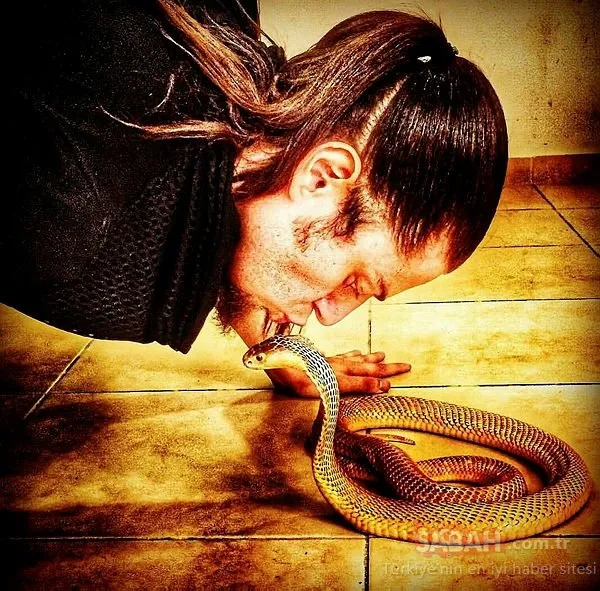 Son dakika: Kobra yılanının ısırdığı Aref’ten ’sağlığıma kavuştum’ paylaşımı