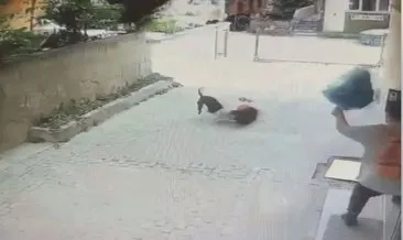 SON DAKİKA... İstanbul’da tasmasız pitbull 7 yaşındaki Ahmet’e kabusu yaşattı! Korkunç iddia: Meğer 1 ay önce de… #istanbul