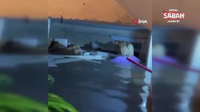 Selde kendi hayatını hiçe saydı, suyla dolu bodrumdan mahsur kalan kediyi böyle kurtardı | Video