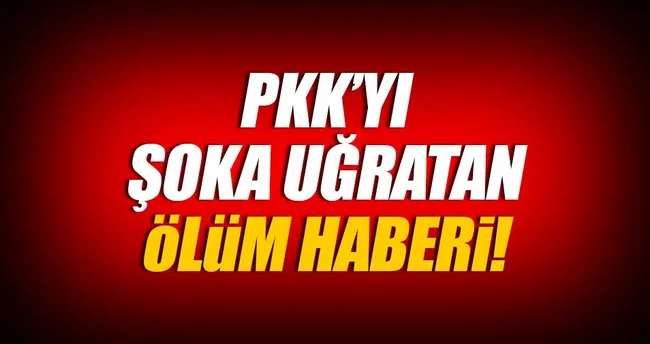 PKK’nın Erciş sorumlusu öldürüldü