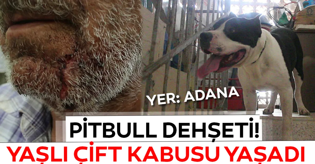 https www sabah com tr yasam 2019 06 01 yasli cift kabusu yasadi evden kacmak isterken paging 4