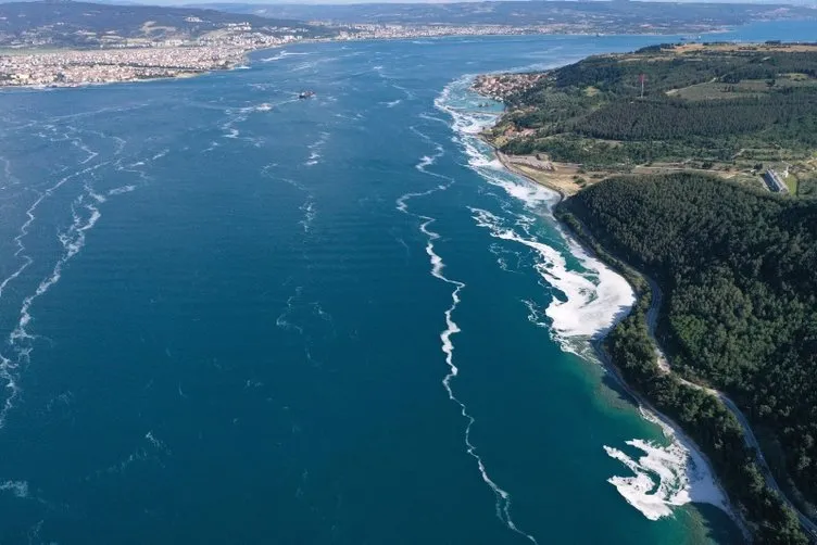 Son dakika | Marmara'da yeni felaket: Müsilaj bitmeden ölümcül gaz geldi! İşte o nokta