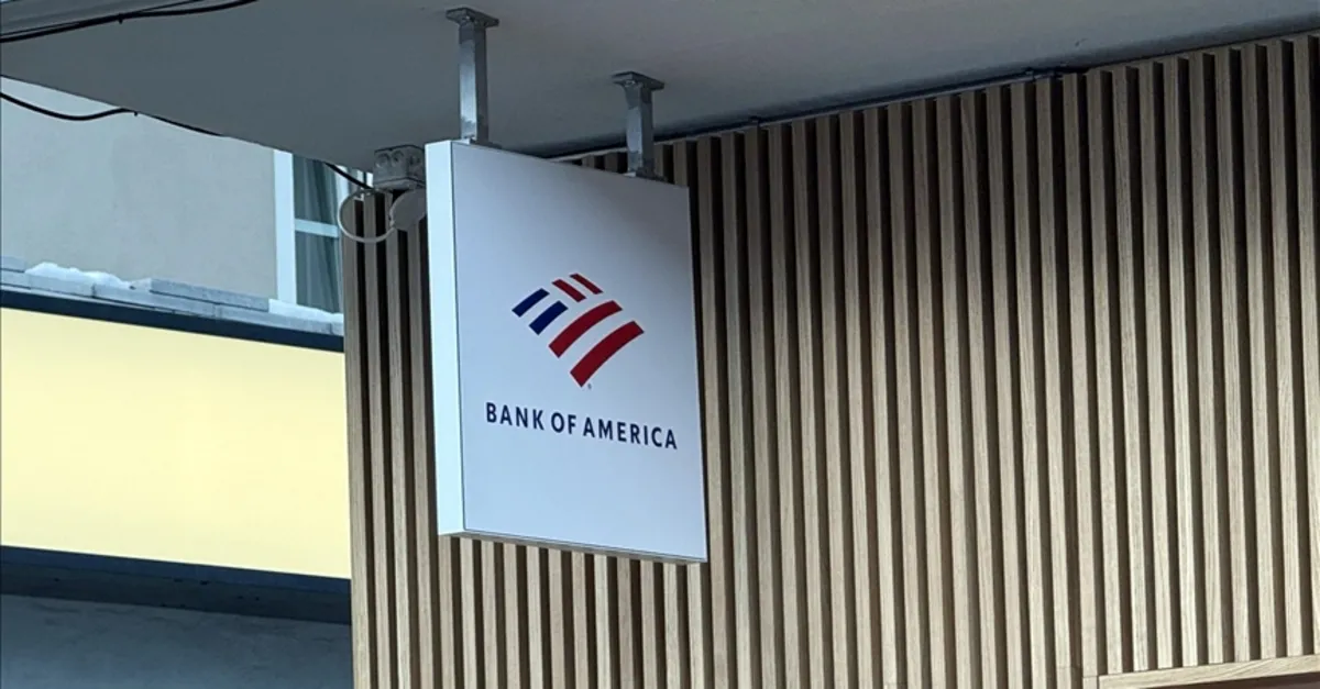 Bofa'nın Net Kârı Arttı: 2024'te 1.2 Milyar TL'ye Ulaştı