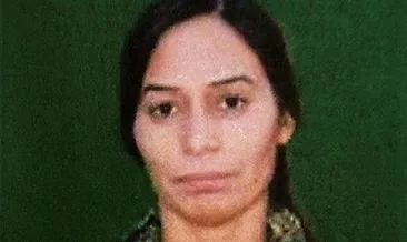 Terörist Mislih’e nokta operasyon