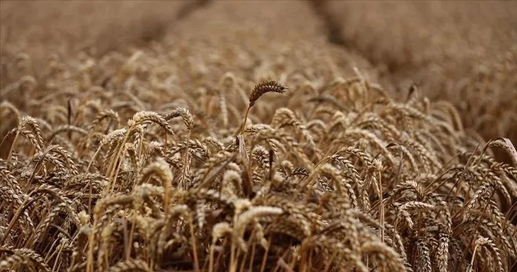 MSB’den tahıl koridoru açıklaması! 13 milyon tonu geçti