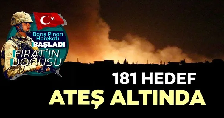 TSK 181 hedefi ateş altına aldı