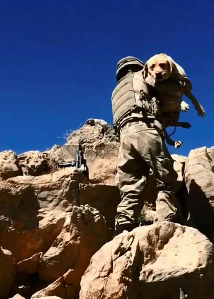 Komandolar teröristlerin inlerine girdi