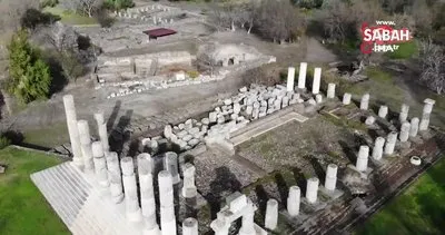 Apollon Smintheus Tapınağı’nda 2 bin yıllık mezar bulundu | Video