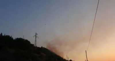 Son dakika: Söke’deki orman yangını kısmen kontrol altında! Havadan ve karadan müdahale sürüyor