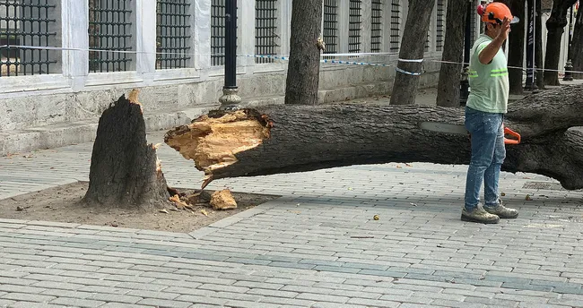 Sultanahmet'te devrilen ağaç nedeniyle 10 kişi yaralandı Sultanahmet'te devrilen ağaç nedeniyle 10 kişi yaralandı