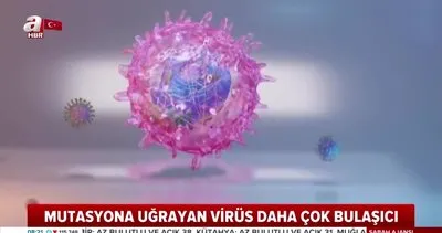 Corona virüs mutasyona uğradı! Artık daha çok bulaşıcı! | Video