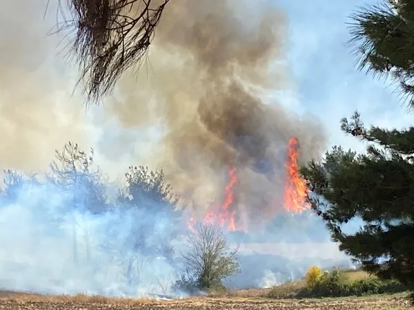Orman yangını müdahale