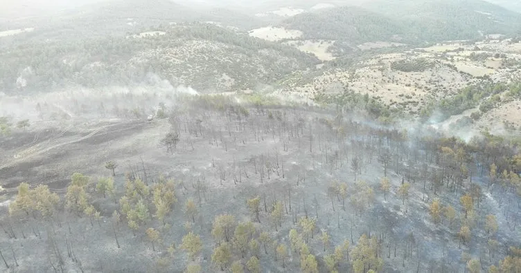Çanakkale’de 2.5 hektar alan yandı