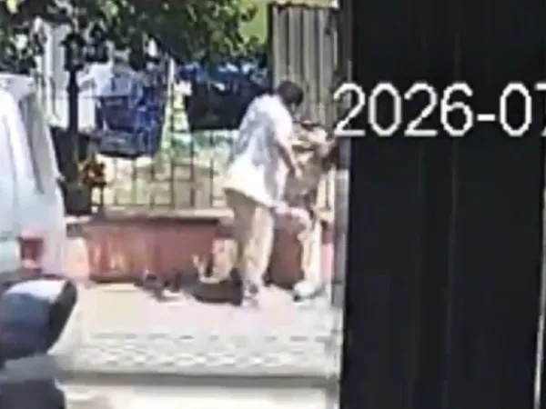 1784899884186.jpg