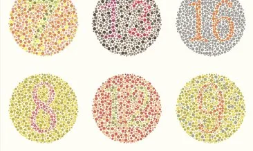 Renk Körlüğü Testi Ve Tedavisi – Renk Körlüğü Nedir, Nasıl Anlaşılır, İyileşir Mi?