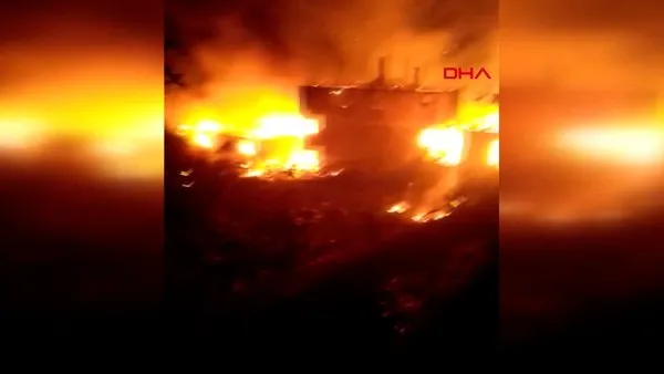 Kastamonu'da korku dolu anlar... 6 kardeşe ait 6 evde aynı anda yangın | Video