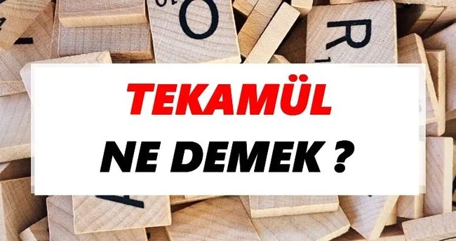 Tekamül Ne Demek? TDK’ya Göre Tekamül Sözlük Anlamı Nedir?