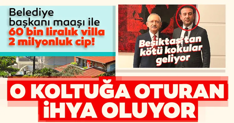 Koltuğa oturan tatlı hayat peşinde