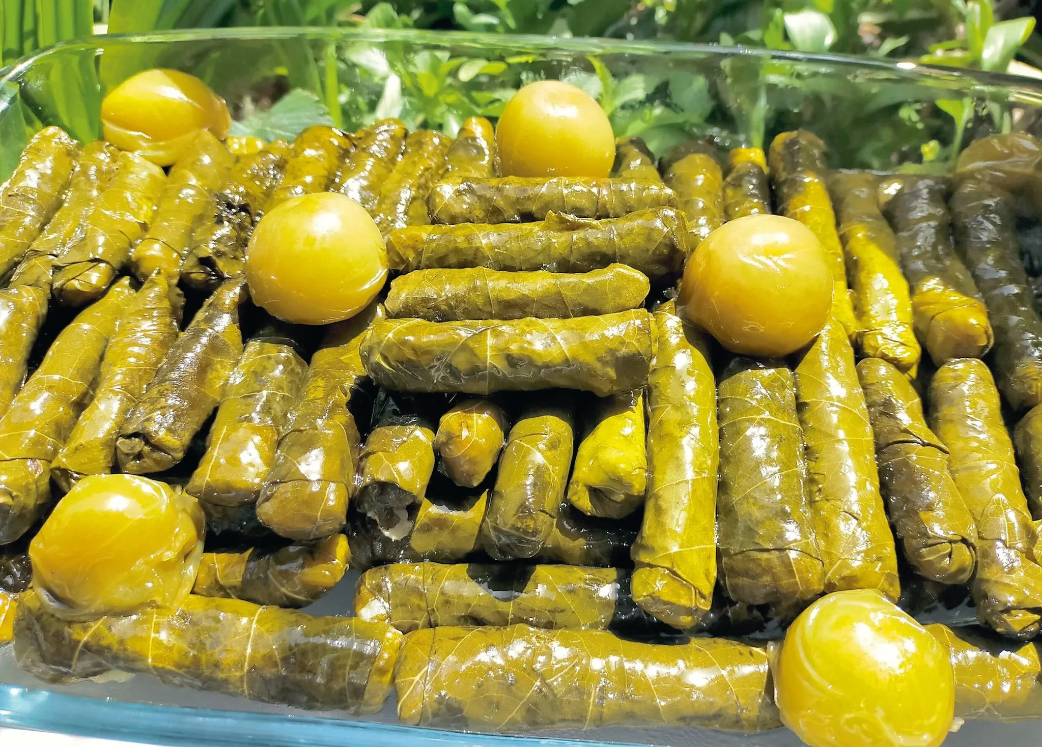 Erkilet yaprağını konuşturan sarma