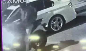 Gözlerine inanamadı: Yılların emeği ziyan oldu! Gözlerine inanamadı: Yılların emeği ziyan oldu!