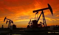 Brent petrolün varili 110,22 dolar