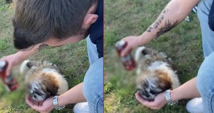 Sosyal medyadaki görüntüler tüyler ürpertti: Alkol içirdiği köpeğe öyle şeyler yaptı ki!