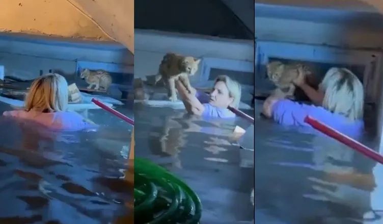 Antalya’da bir kadın boğulmak üzere olan kediyi kurtardı