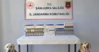 Viranşehir’de kaçak sigara operasyonu: 1030 paket ele geçirildi #sanliurfa