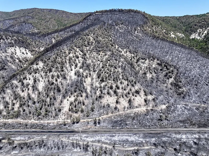 Ciğerlerimiz yandı, kül oldu! Karabük'te yangında zarar gören ormanlık alan böyle görüntülendi