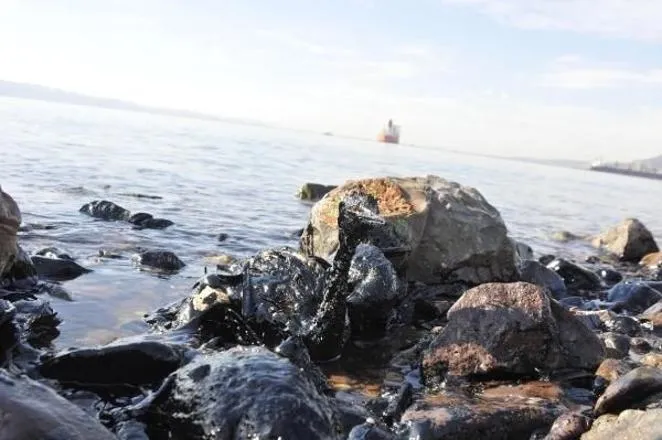 16 bin bilim insanından çevre felaketi uyarısı