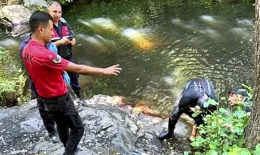 Sıcak havada serinlemek için girdiği şelalede boğuldu #istanbul