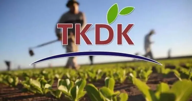 TKDK’dan yatırımcıya yüzde 50-80 oranında geri ödemesiz destek