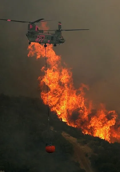 Kaliforniya’nın kuzeyinde yeni orman yangını