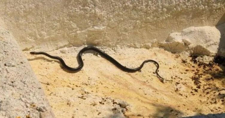 sansursuz haberler