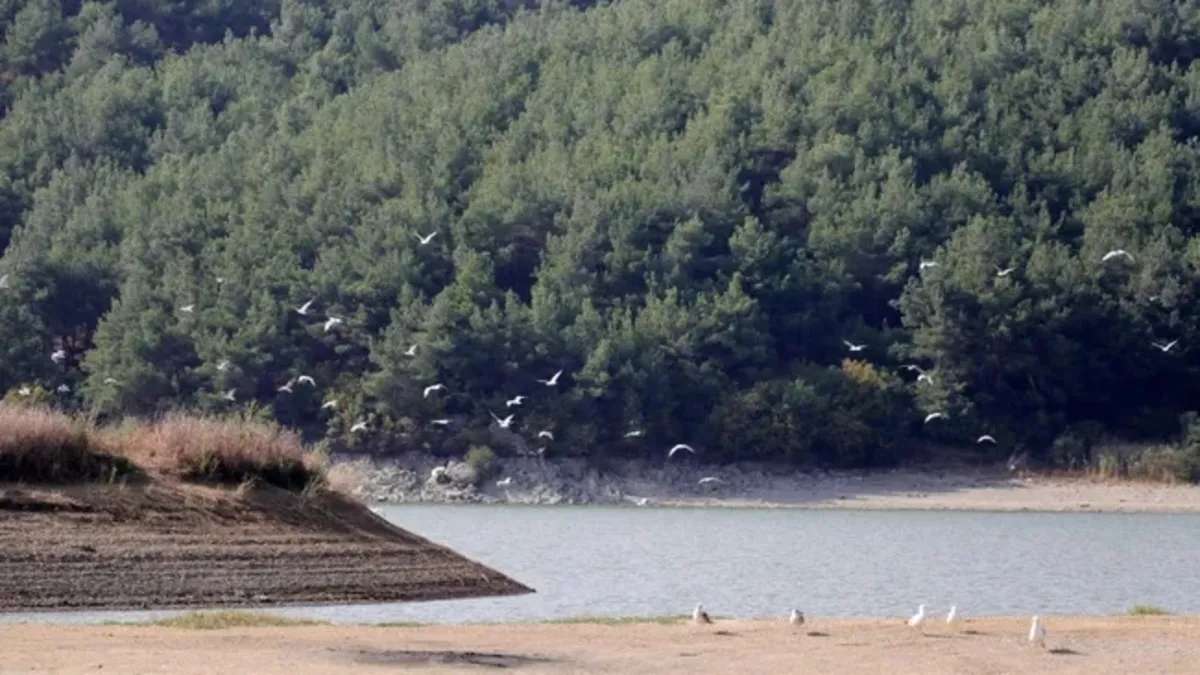 Edirne'de ormanlık alanlara giriş yasağını gösteren tabela