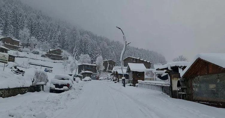 Rize ve Artvin’de kar: 119 köy yolu ulaşıma kapandı!