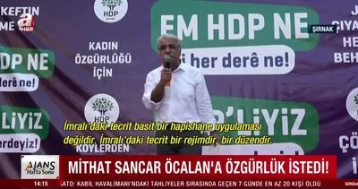 HDP’li Mithat Sancar’dan skandal çağrı! Öcalan’a özgürlük istedi | Video