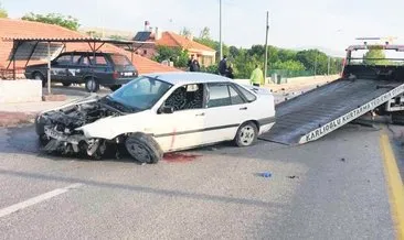 Köpeği ezmemek için canından oldu