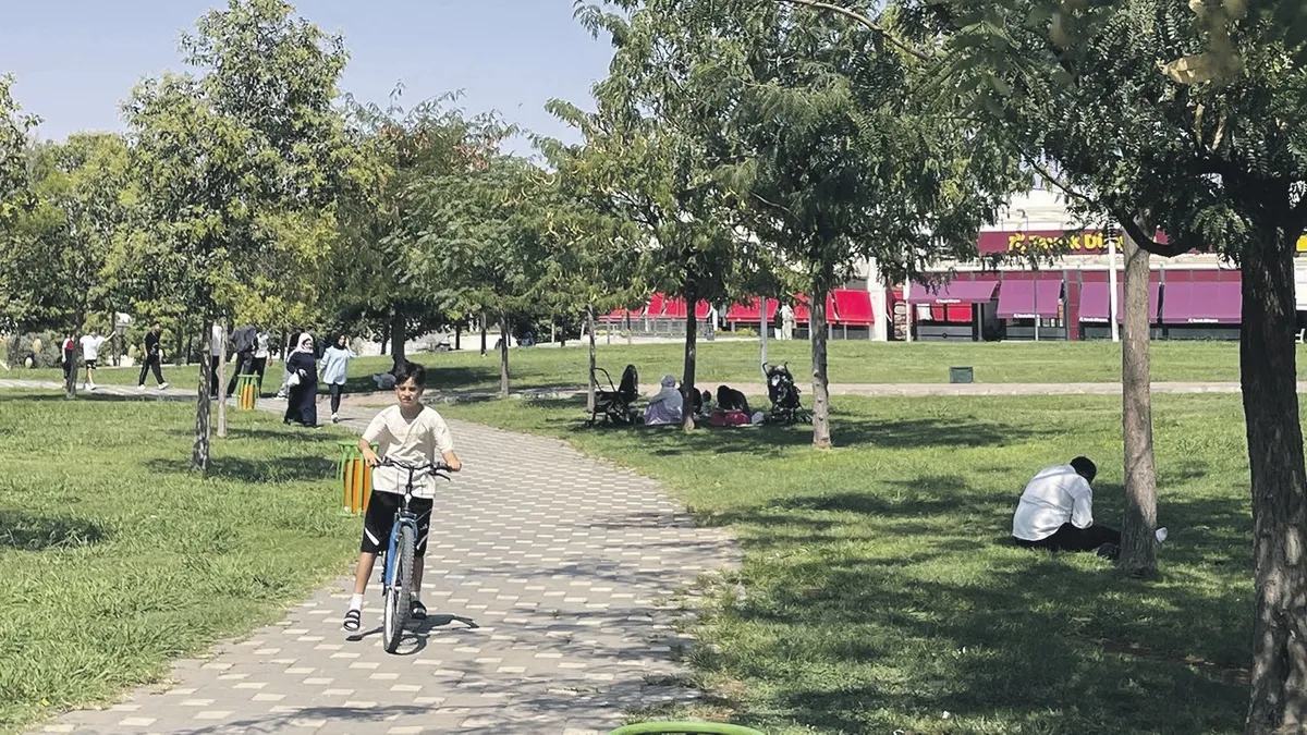 Türkiye'de 95 Yıllık Sıcaklık Rekoru Kırıldı: Termometreler Adeta 'Kavruldu'!