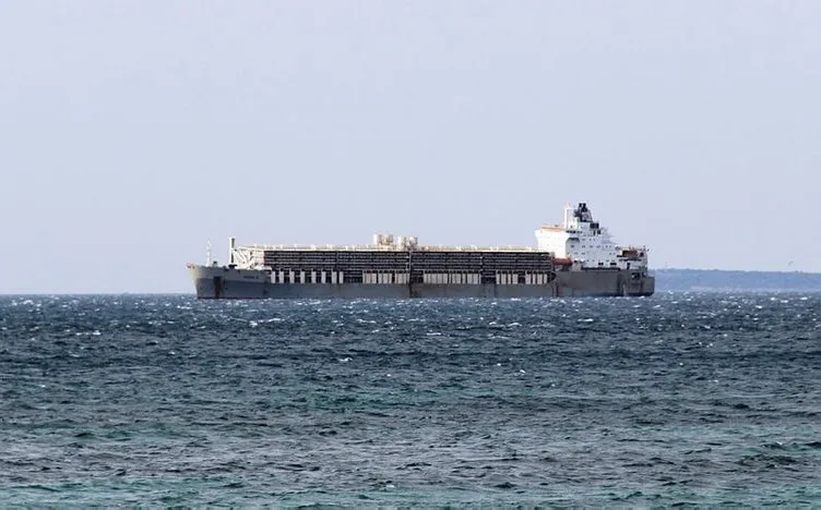 69 bin hayvan yüklü gemi Çanakkale Boğazı’nda demirledi