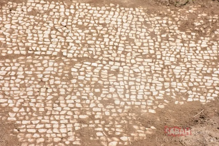 Adıyaman’da, baraj kıyısında 6’ncı yüzyıla ait mozaik bulundu