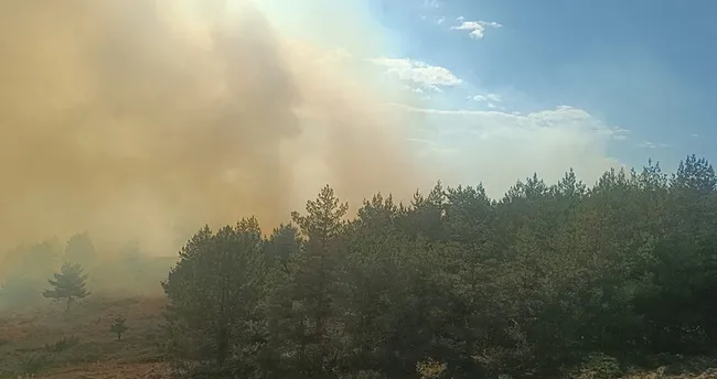 Bolu’da orman yangını!